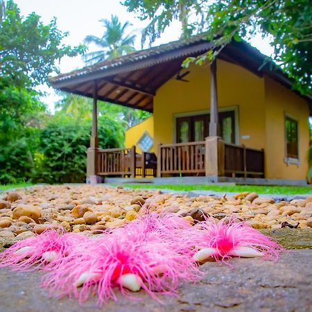 Birds Paradise Cabanas Унаватуна Екстер'єр фото