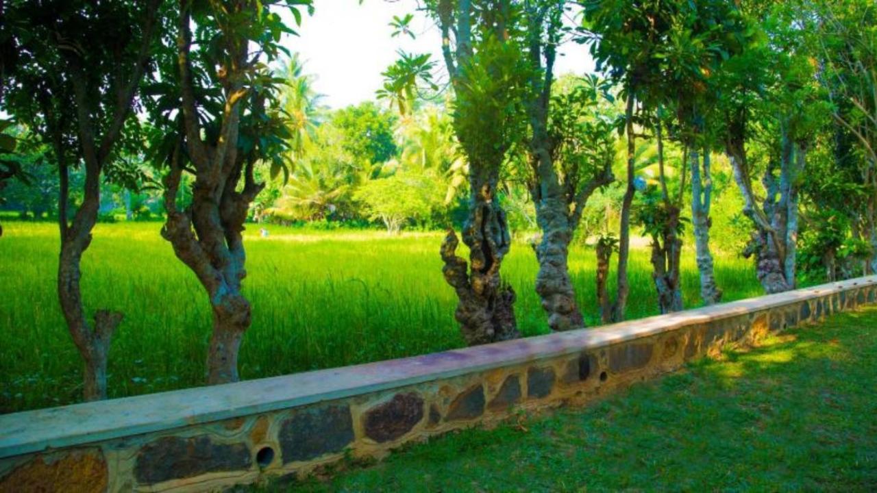 Birds Paradise Cabanas Унаватуна Екстер'єр фото