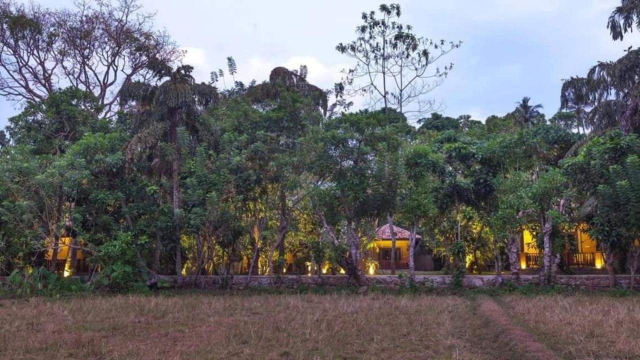 Birds Paradise Cabanas Унаватуна Екстер'єр фото