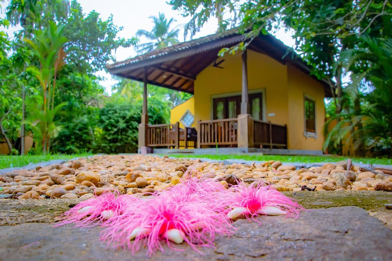 Birds Paradise Cabanas Унаватуна Екстер'єр фото