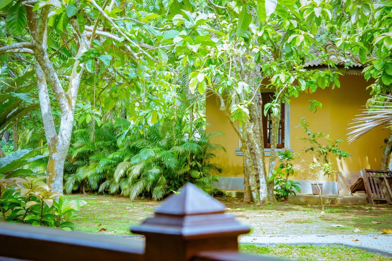 Birds Paradise Cabanas Унаватуна Екстер'єр фото