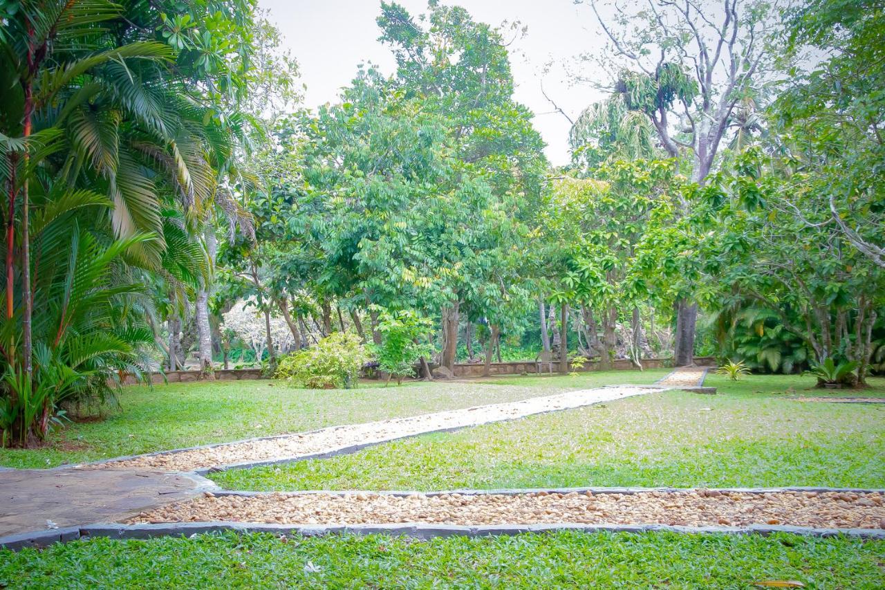 Birds Paradise Cabanas Унаватуна Екстер'єр фото