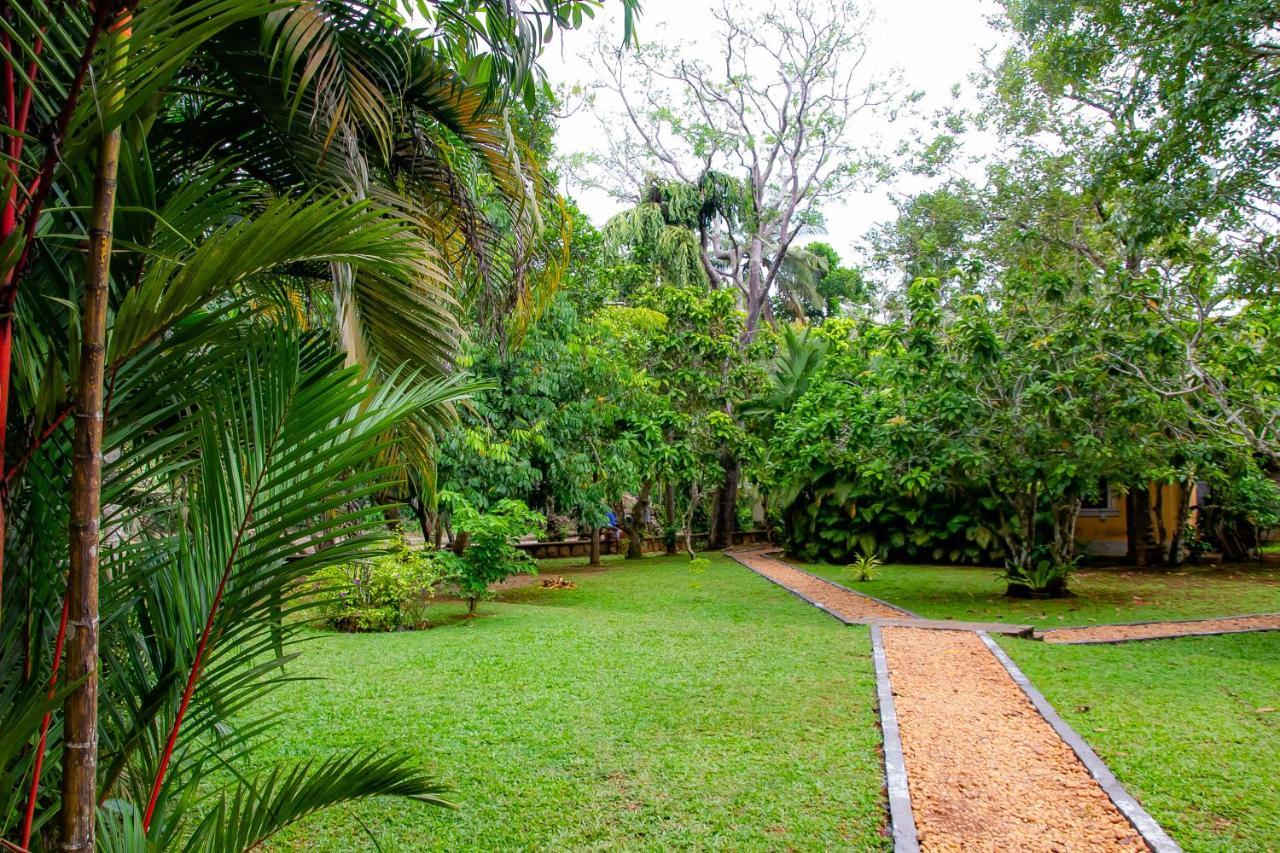 Birds Paradise Cabanas Унаватуна Екстер'єр фото